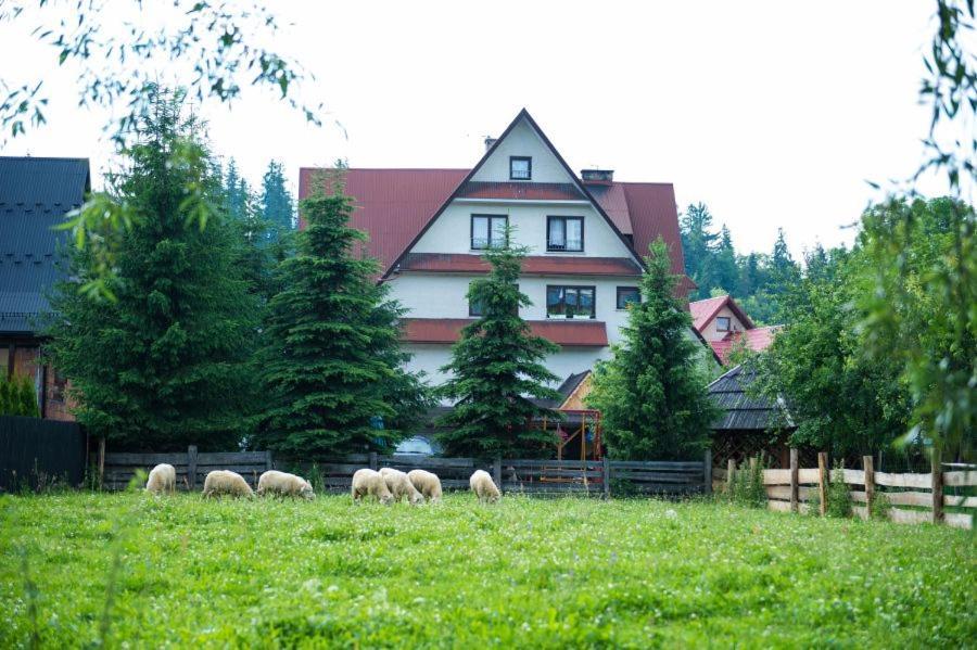 Bed and Breakfast Osrodek Wczasowo-Kolonijny Gron à Biały Dunajec Extérieur photo